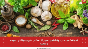 نمو الشعر.. خبراء يكشفون أسرار 10 أعشاب طبيعية بنتائج سريعة ومذهلة